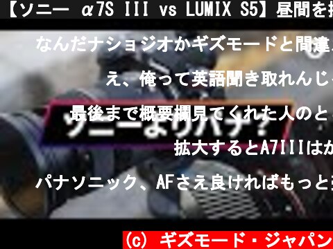 【ソニー α7S III vs LUMIX S5】昼間を撮るなら、ソニーよりパナがおすすめな理由  (c) ギズモード・ジャパン